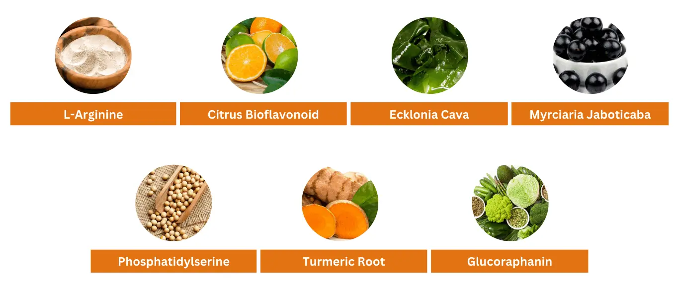 OrexiBurn ingredients